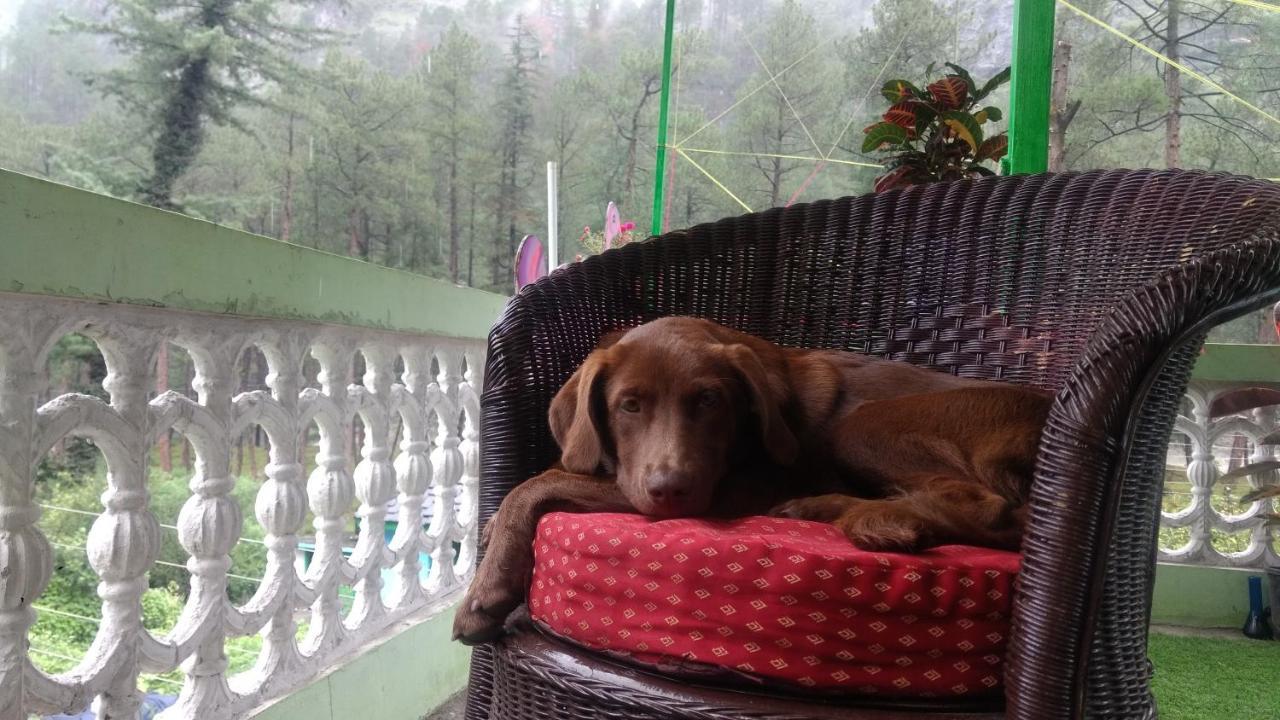 Destination Of Peace Vandrerhjem Kasol Eksteriør bilde